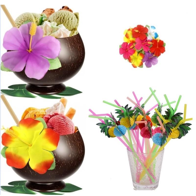Natural Coconut Bowl Set Organ - đánh giá và giá Meal Prep Smoothies
